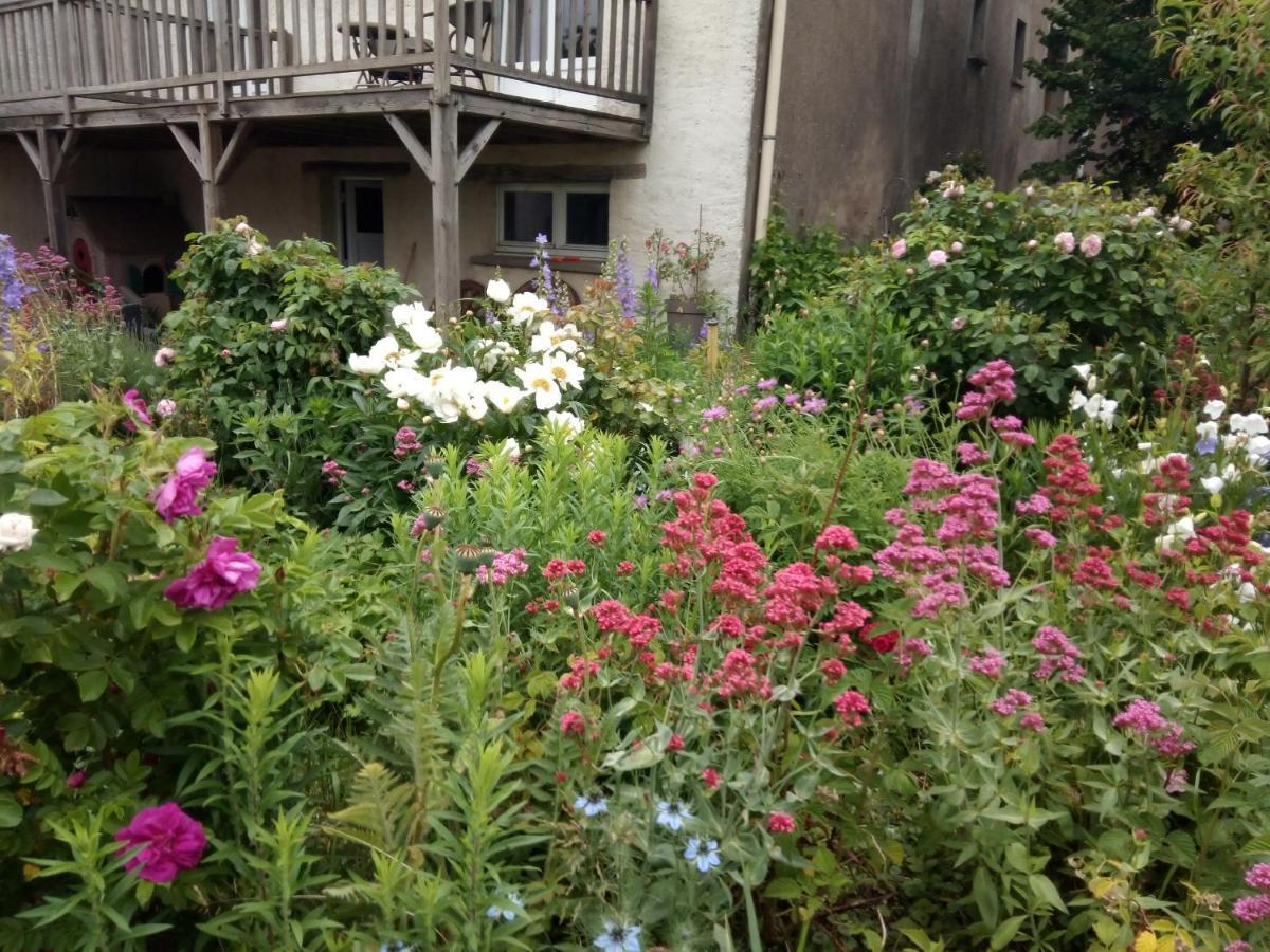 Athienville La Grange Aux Hirondelles B&B 외부 사진